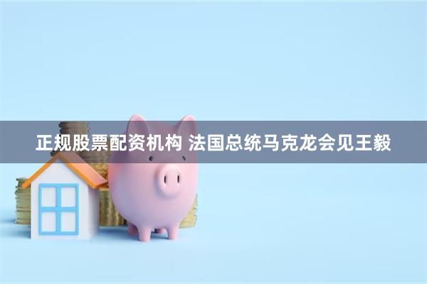 正规股票配资机构 法国总统马克龙会见王毅
