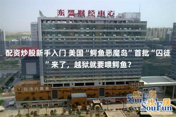 配资炒股新手入门 美国“鳄鱼恶魔岛”首批“囚徒”来了，越狱就要喂鳄鱼？
