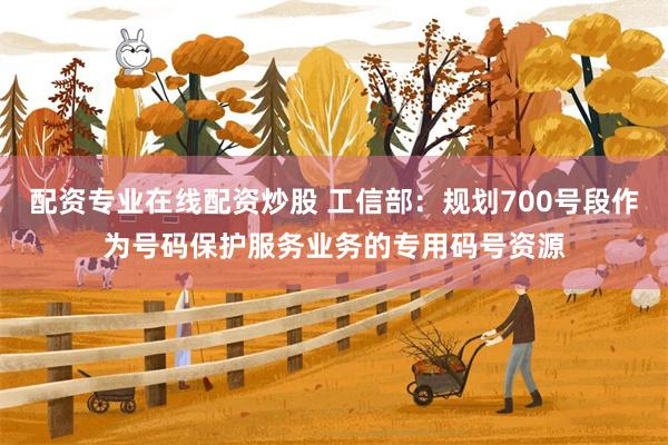 配资专业在线配资炒股 工信部：规划700号段作为号码保护服务业务的专用码号资源