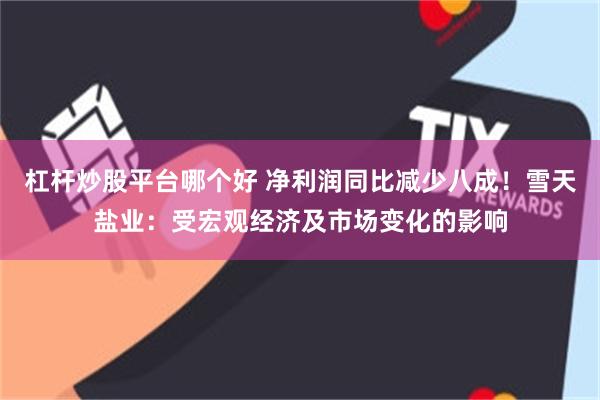 杠杆炒股平台哪个好 净利润同比减少八成！雪天盐业：受宏观经济及市场变化的影响