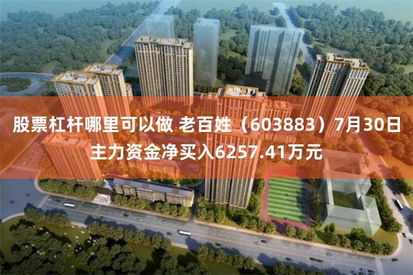 股票杠杆哪里可以做 老百姓（603883）7月30日主力资金净买入6257.41万元