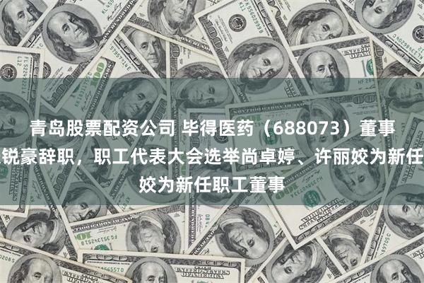 青岛股票配资公司 毕得医药（688073）董事赵芸、张锐豪辞职，职工代表大会选举尚卓婷、许丽姣为新任职工董事