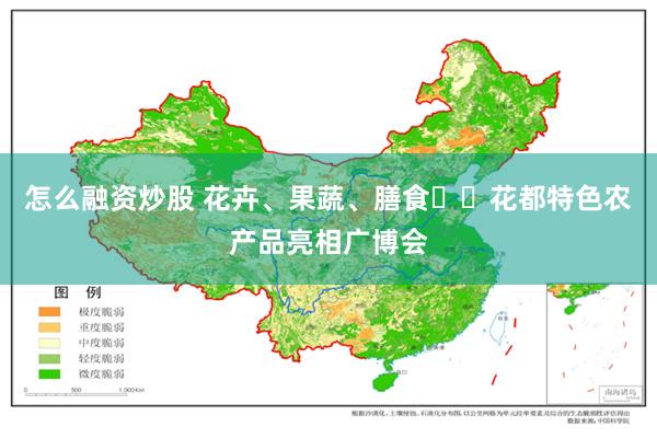 怎么融资炒股 花卉、果蔬、膳食⋯⋯花都特色农产品亮相广博会