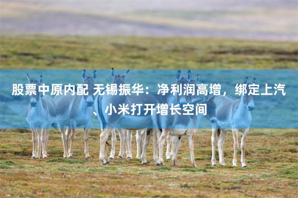 股票中原内配 无锡振华：净利润高增，绑定上汽、小米打开增长空间