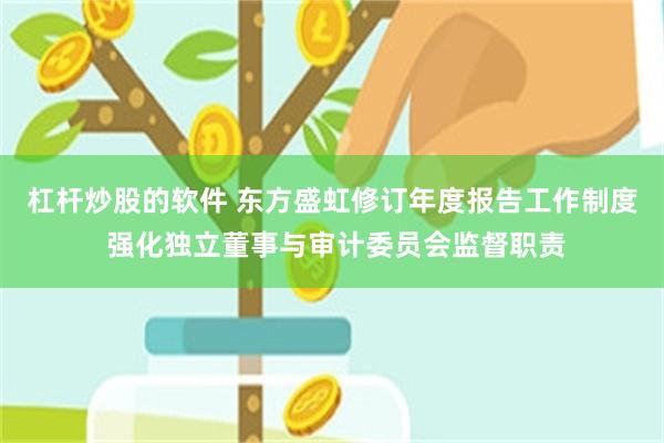 杠杆炒股的软件 东方盛虹修订年度报告工作制度 强化独立董事与审计委员会监督职责