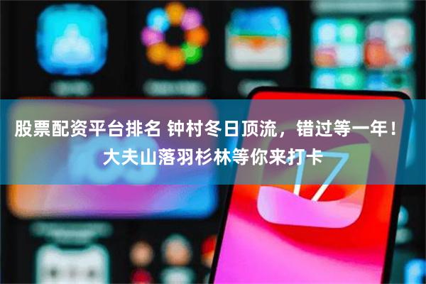 股票配资平台排名 钟村冬日顶流,错过等一年! 大夫山落羽杉林等你来打卡