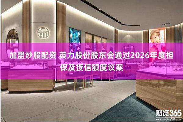 加盟炒股配资 英力股份股东会通过2026年度担保及授信额度议案