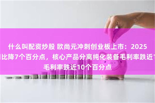 什么叫配资炒股 欧尚元冲刺创业板上市:2025年毛利率同比降7个百分点,核心产品分离纯化装备毛利率跌近10个百分点