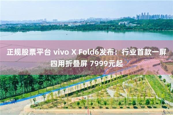 正规股票平台 vivo X Fold6发布：行业首款一屏四用折叠屏 7999元起