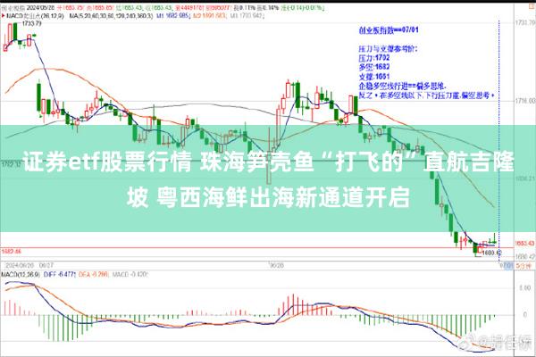 证券etf股票行情 珠海笋壳鱼“打飞的”直航吉隆坡 粤西海鲜出海新通道开启