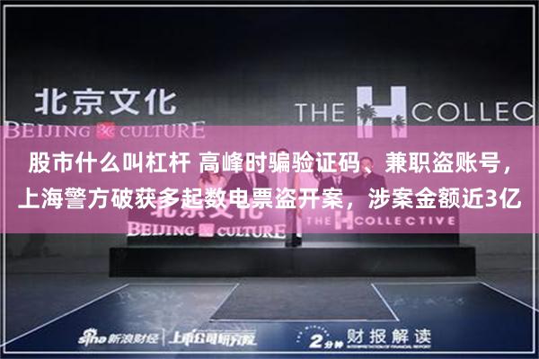 股市什么叫杠杆 高峰时骗验证码、兼职盗账号，上海警方破获多起数电票盗开案，涉案金额近3亿