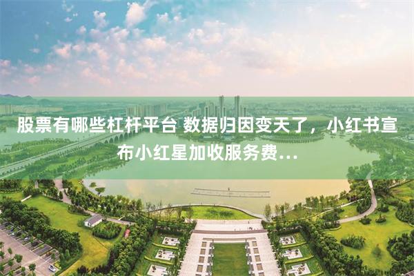 股票有哪些杠杆平台 数据归因变天了，小红书宣布小红星加收服务费…