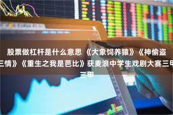 股票做杠杆是什么意思 《大象饲养猿》《神偷盗三情》《重生之我是芭比》获麦浪中学生戏剧大赛三甲