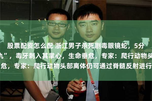 股票配资怎么配 浙江男子杀死剧毒眼镜蛇，5分钟后断离蛇头突然“复仇”，毒牙刺入其掌心，生命垂危，专家：爬行动物头部离体仍可通过脊髓反射进行攻击