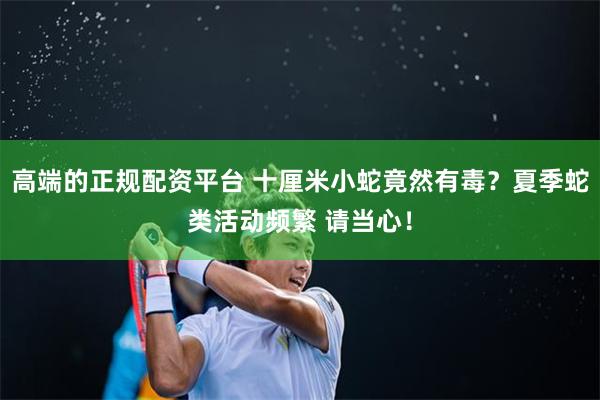 高端的正规配资平台 十厘米小蛇竟然有毒？夏季蛇类活动频繁 请当心！