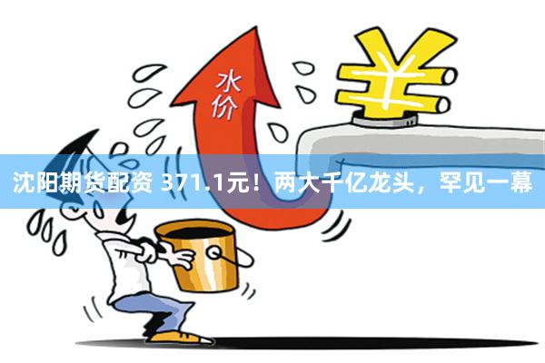 沈阳期货配资 371.1元！两大千亿龙头，罕见一幕