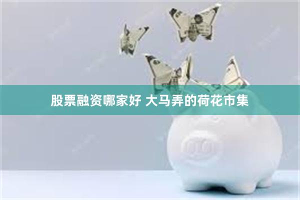 股票融资哪家好 大马弄的荷花市集