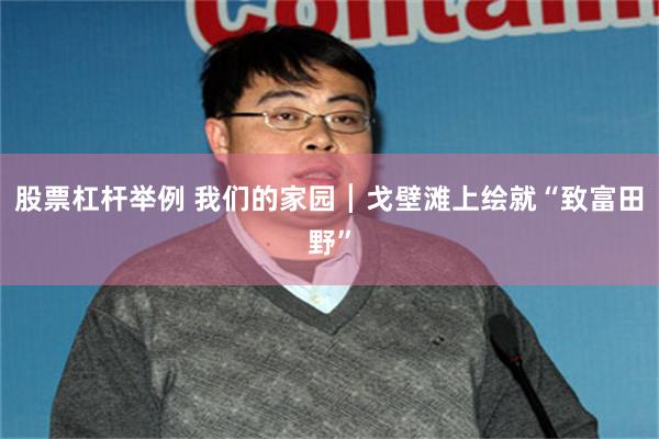 股票杠杆举例 我们的家园┃戈壁滩上绘就“致富田野”