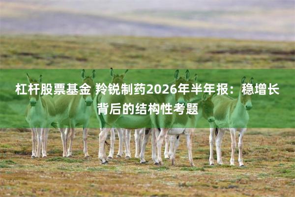 杠杆股票基金 羚锐制药2026年半年报：稳增长背后的结构性考题