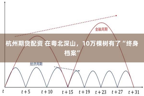 杭州期货配资 在粤北深山，10万棵树有了“终身档案”