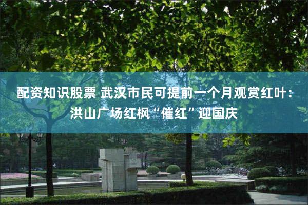 配资知识股票 武汉市民可提前一个月观赏红叶：洪山广场红枫“催红”迎国庆
