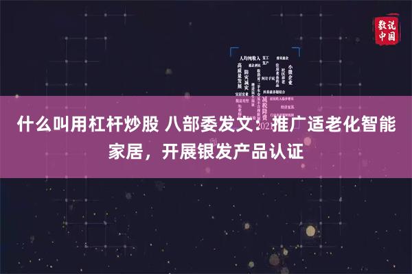 什么叫用杠杆炒股 八部委发文：推广适老化智能家居，开展银发产品认证