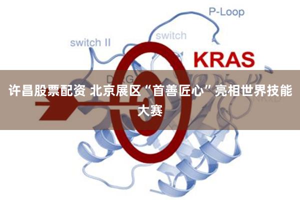 许昌股票配资 北京展区“首善匠心”亮相世界技能大赛