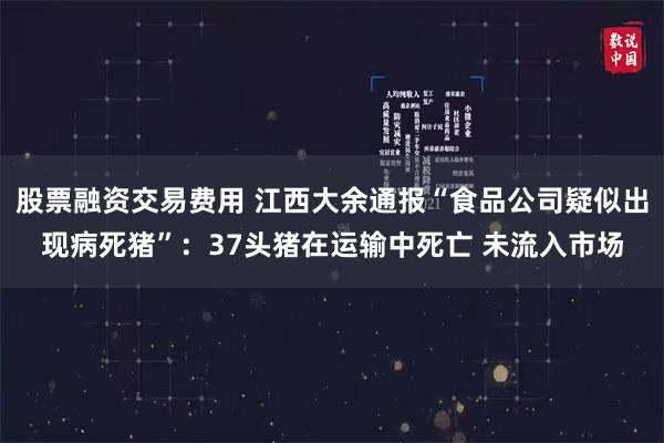 股票融资交易费用 江西大余通报“食品公司疑似出现病死猪”：37头猪在运输中死亡 未流入市场