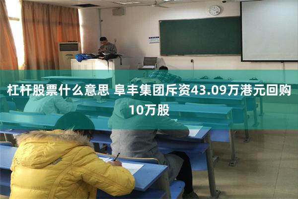 杠杆股票什么意思 阜丰集团斥资43.09万港元回购10万股